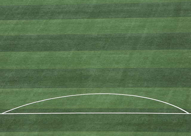 成为了新生 成为了新生