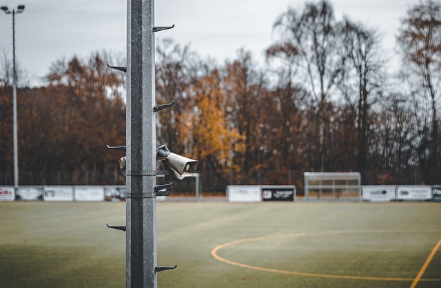 青島若能在 青島若能在