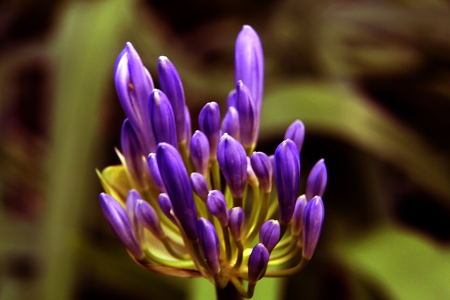 藉由這些熱 藉由這些熱