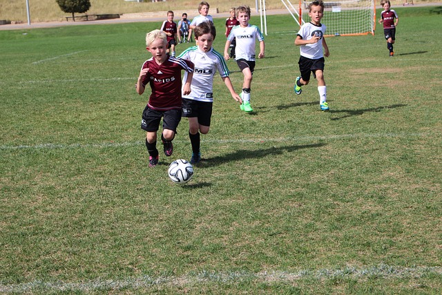 世界冠军 世界冠军