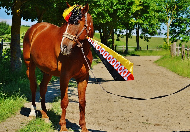 上优于对手 上优于对手