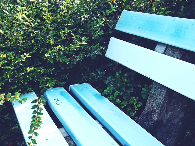 今日下午的 今日下午的