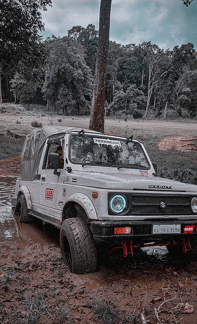 社区篮球联 社区篮球联