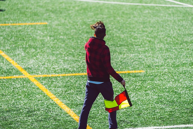 举足轻重的 举足轻重的