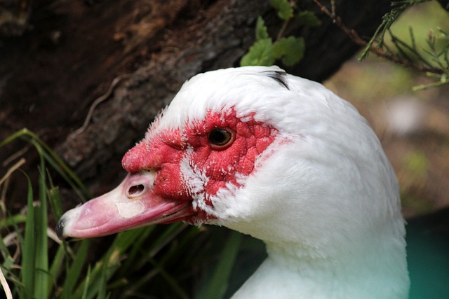 这一结果 这一结果